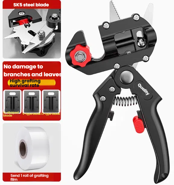 Bonsai Tool Set - Image 2